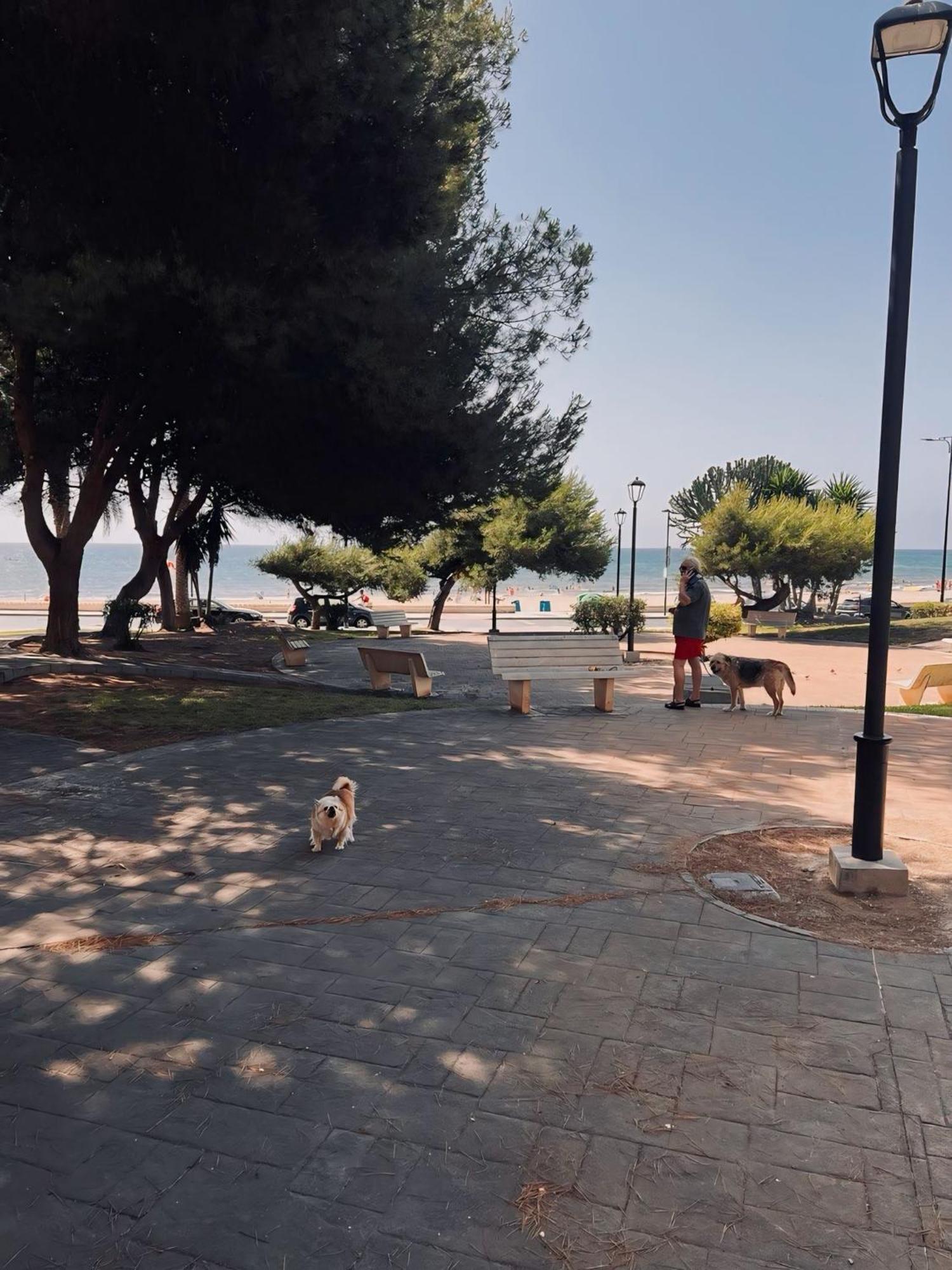 50 Pasos Hacia El Mar Apartment El Campello Ngoại thất bức ảnh